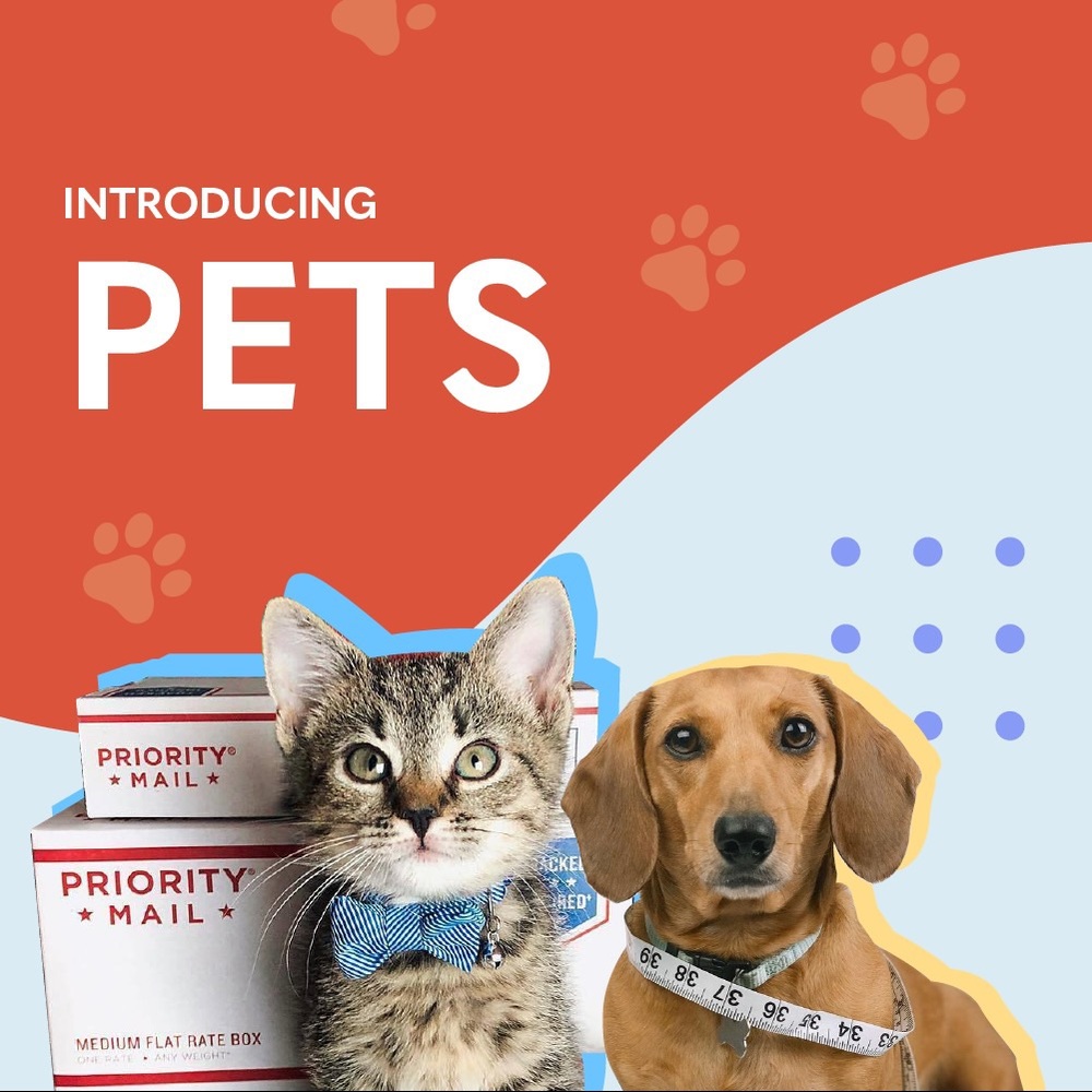 Introducing Pets!